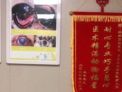 -瑞鹏宠物医院·眼科·皮肤·中兽医(大悦城分院)