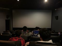 -新影联·华谊兄弟影院(望京店)