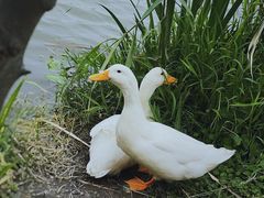 -昆山城市生态森林公园