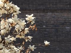 -西安市广仁寺