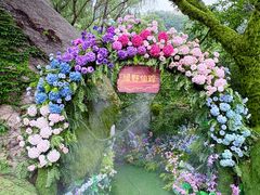 -沂蒙云瀑洞天景区