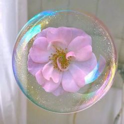 -黛蓝形象定制