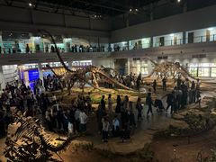 -自贡恐龙博物馆