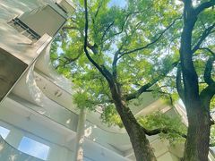 -湖北美术学院(昙华林校区)