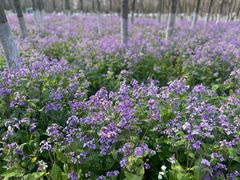 -白塘生态植物园