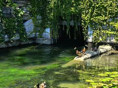 -西海子公园