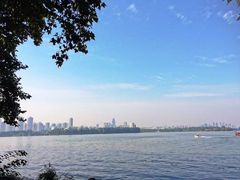 -武汉大学-樱园