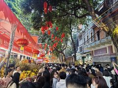 -越秀西湖花市(广州城市广场花卉店)