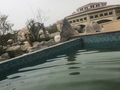 -仁爱团泊湖温泉中心