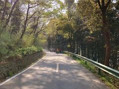 -南京金牛湖风景区