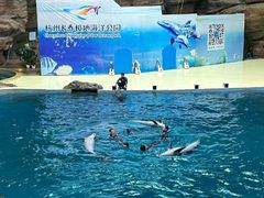 -杭州长乔极地海洋公园