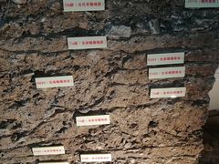 -南越王博物院(王宫展区)