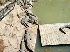 -深圳野生动物园
