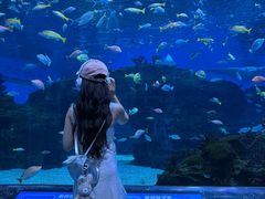 -海合安成都极地海洋公园