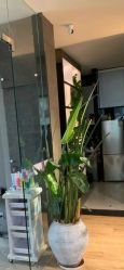 -意廊 Hair Salon