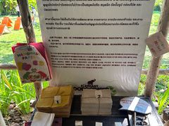 -大象粑粑造纸公园