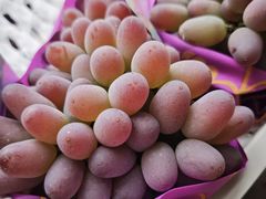 -马陆小张葡萄园农家乐