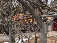 -红螺寺