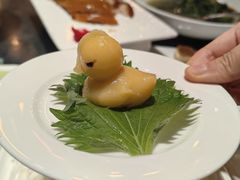 -春常在云南私房菜