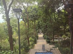-英德宝晶宫天鹅湖茶语温泉