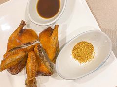 -食神鱼头佛跳墙(百子湾旗舰店)