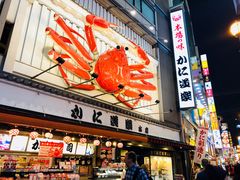 -蟹道乐(道顿堀本店)