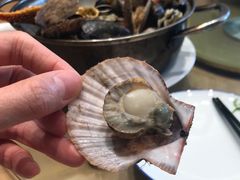 蒸扇贝-映像威海·海鲜味道(经区店)