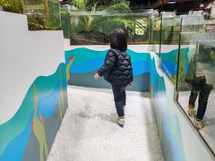 -上海大自然野生昆虫馆(东方明珠·爬宠昆虫探索中心)