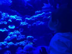 -太平洋海底世界