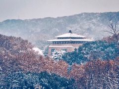 -武汉大学-樱园
