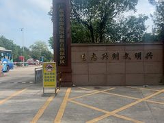 -广东惠东海龟国家级自然保护区