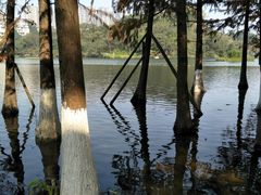 -重庆彩云湖湿地公园