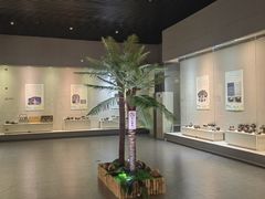 -海口市博物馆