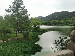 -长广溪湿地公园