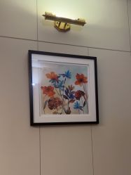 -娇莉芙美颜SPA连锁