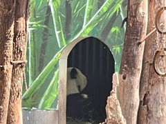 -南昌动物园