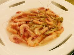 -新日月育才大酒店-中餐厅(环城北路店)