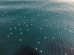 -海云台海滩