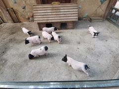 -北戴河集发农业梦想王国