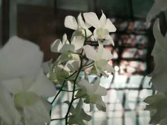 -曼谷素万那普国际机场