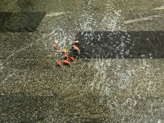 -网易（杭州）网络有限公司