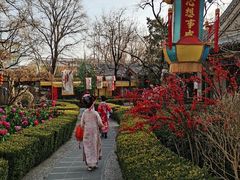 -白家大院·王府宫廷菜(苏州街店)