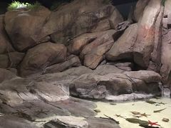 -福州罗源湾海洋世界旅游区