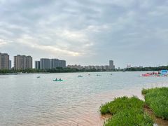 -金沙湖公园