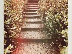 -帐篷客·溪龙茶谷度假酒店