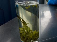 -白云宾馆-中餐厅