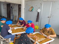 -苏州市吴中区光福窑上花果蜜饯厂