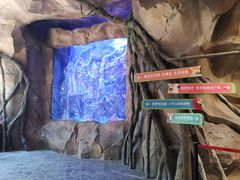 -杭州开元森泊度假乐园