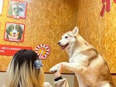 -和它·交个朋友·狗咖猫咖(爱琴海店)