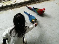 -广东茂名森林公园